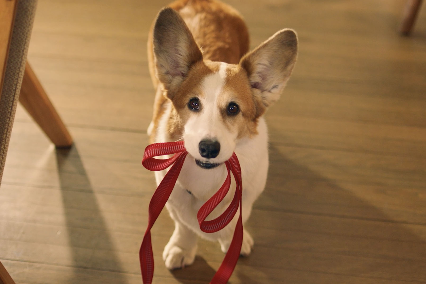 LOOMIS TURNS Everyday Adulting into a Singalong-Worthy Reward - The Loomis Agency The Loomis Agency